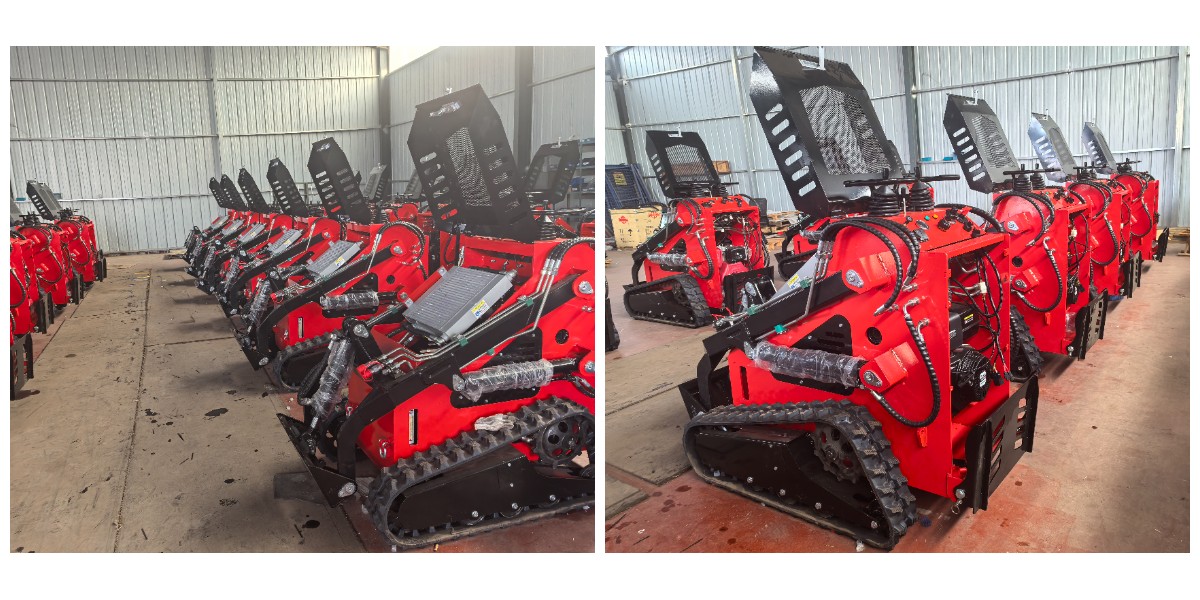 Mini chargeuse compacte